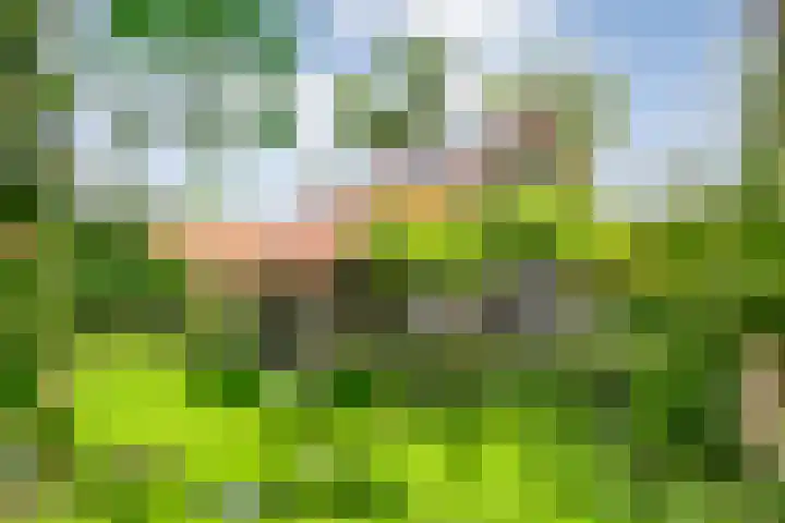 Knooperf de Veldboer 5 Langeveen thumbnail 33