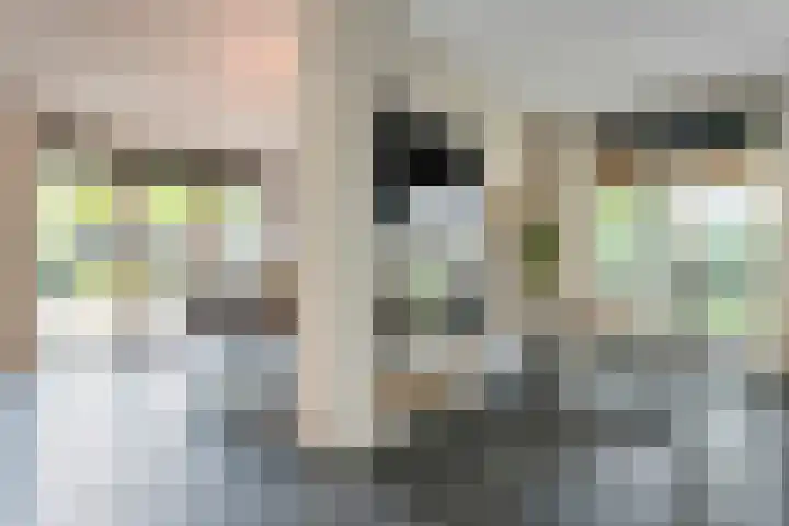 Knooperf de Veldboer 5 Langeveen thumbnail 9