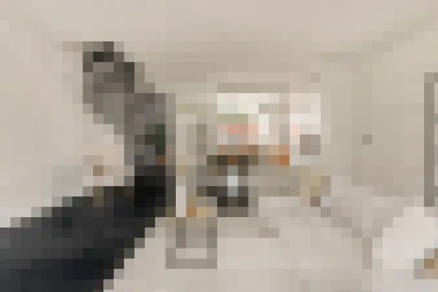 Knoopkruid 1 Diemen thumbnail 10