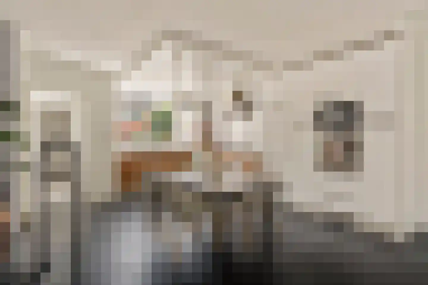 Knoopkruid 1 Diemen thumbnail 11