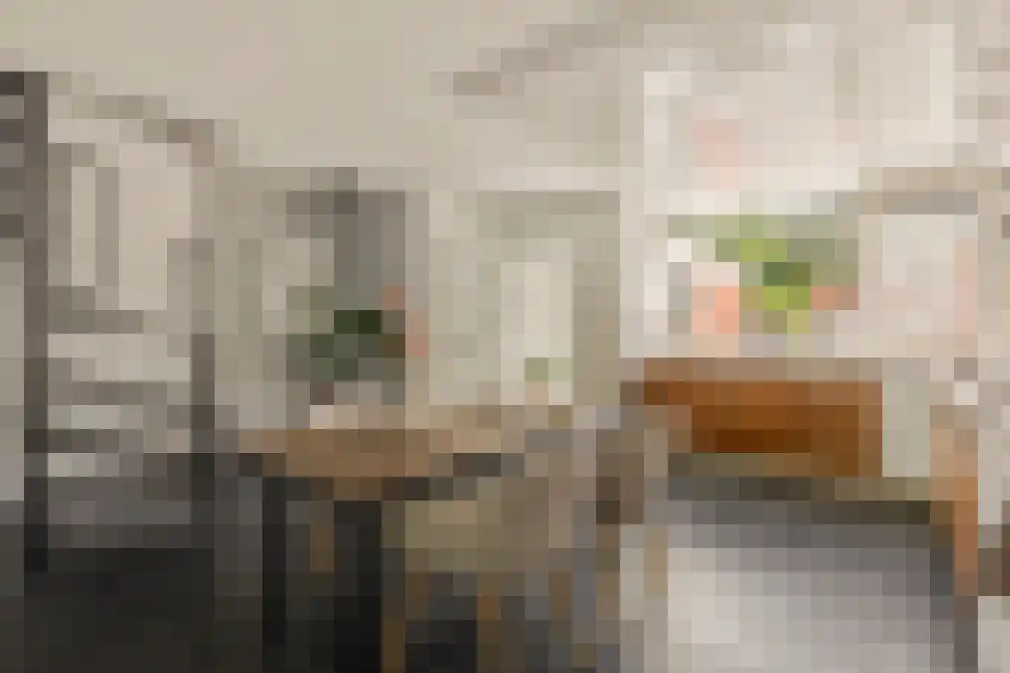 Knoopkruid 1 Diemen thumbnail 12