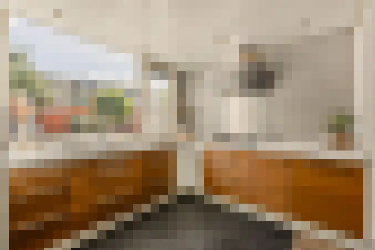 Knoopkruid 1 Diemen thumbnail 13