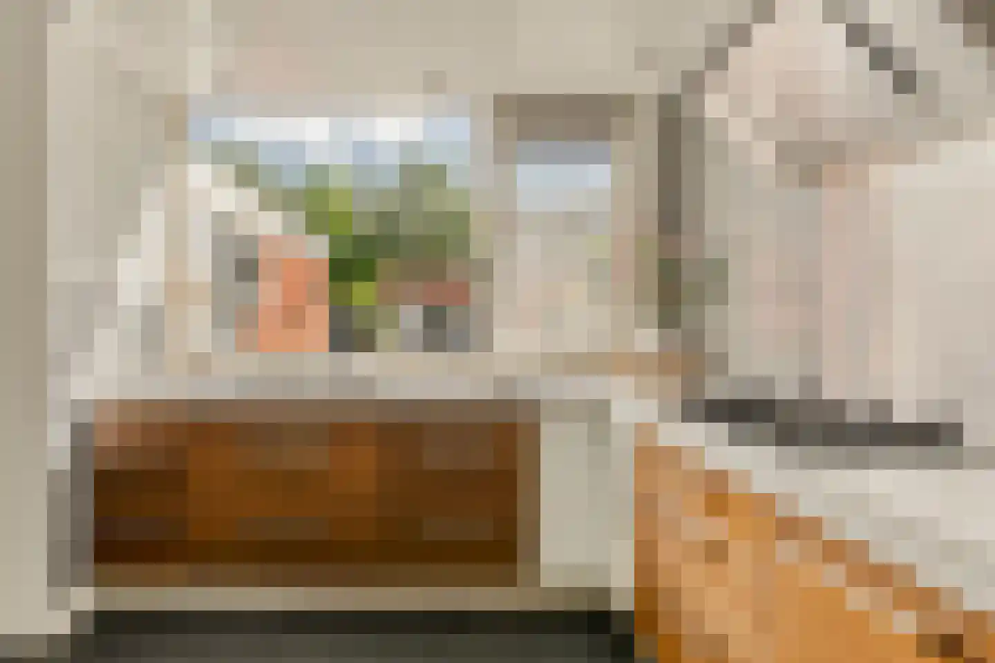 Knoopkruid 1 Diemen thumbnail 15