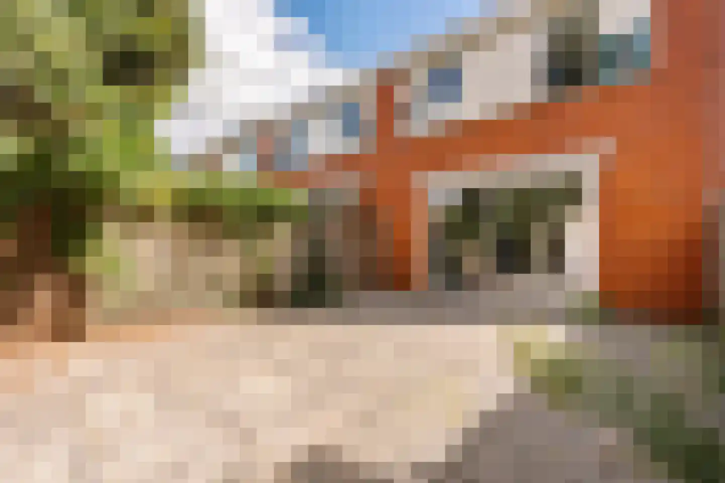 Knoopkruid 1 Diemen thumbnail 19