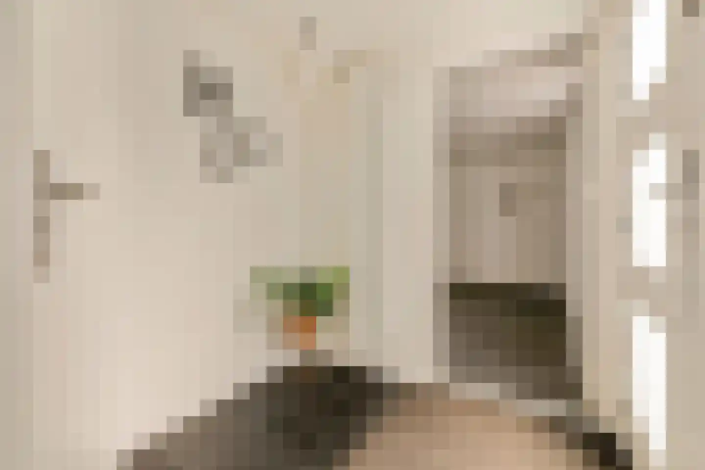 Knoopkruid 1 Diemen thumbnail 20