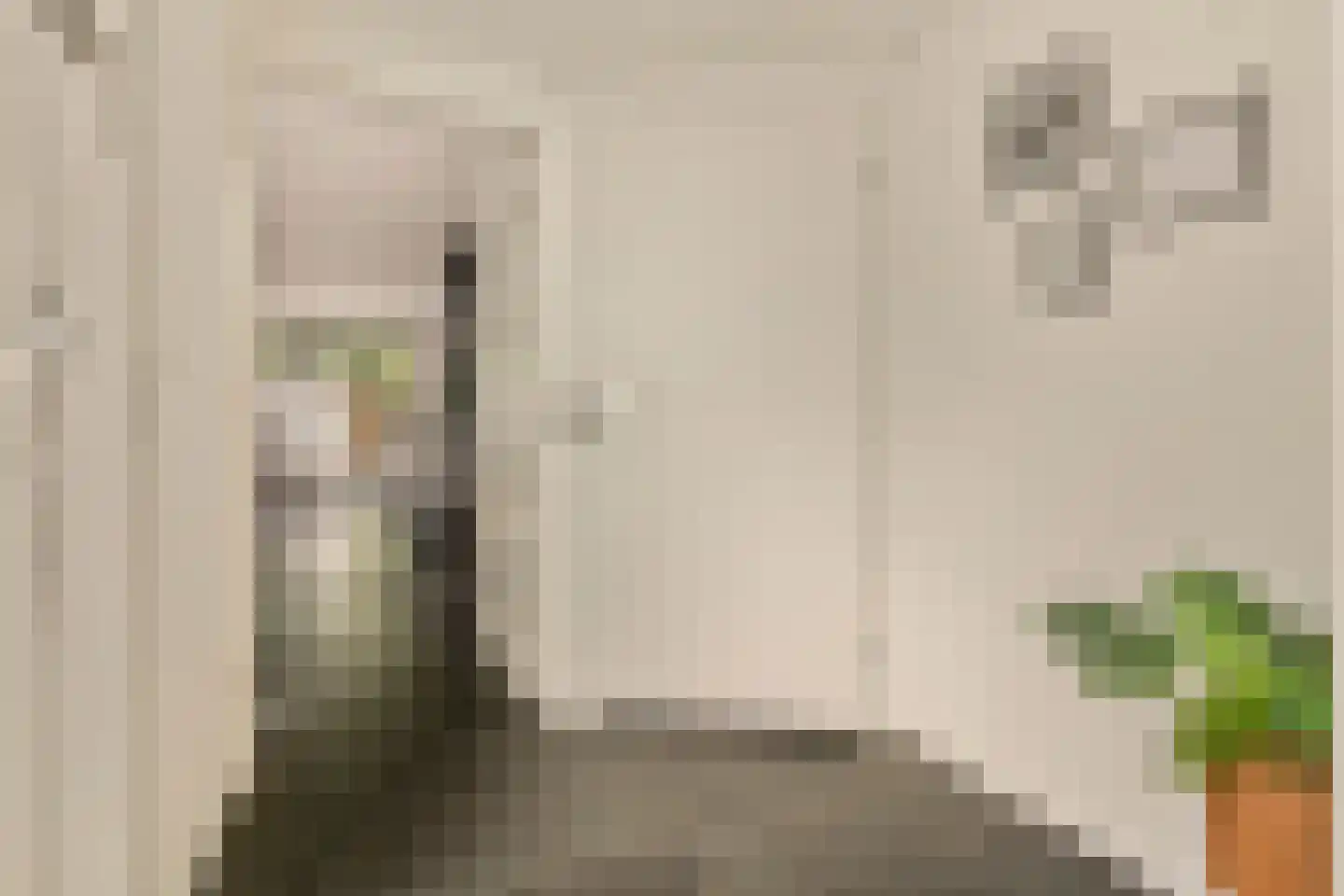 Knoopkruid 1 Diemen thumbnail 21