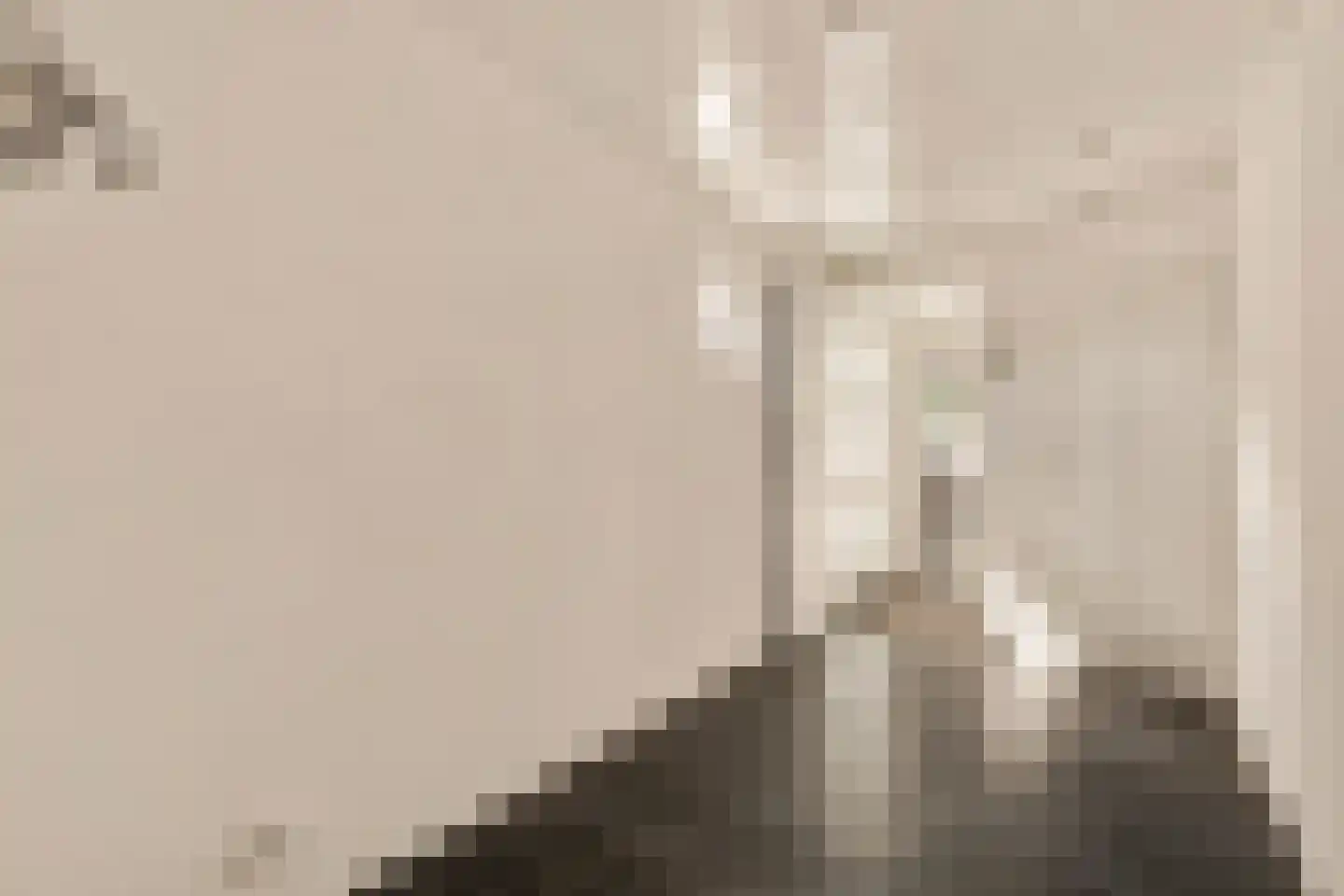 Knoopkruid 1 Diemen thumbnail 23