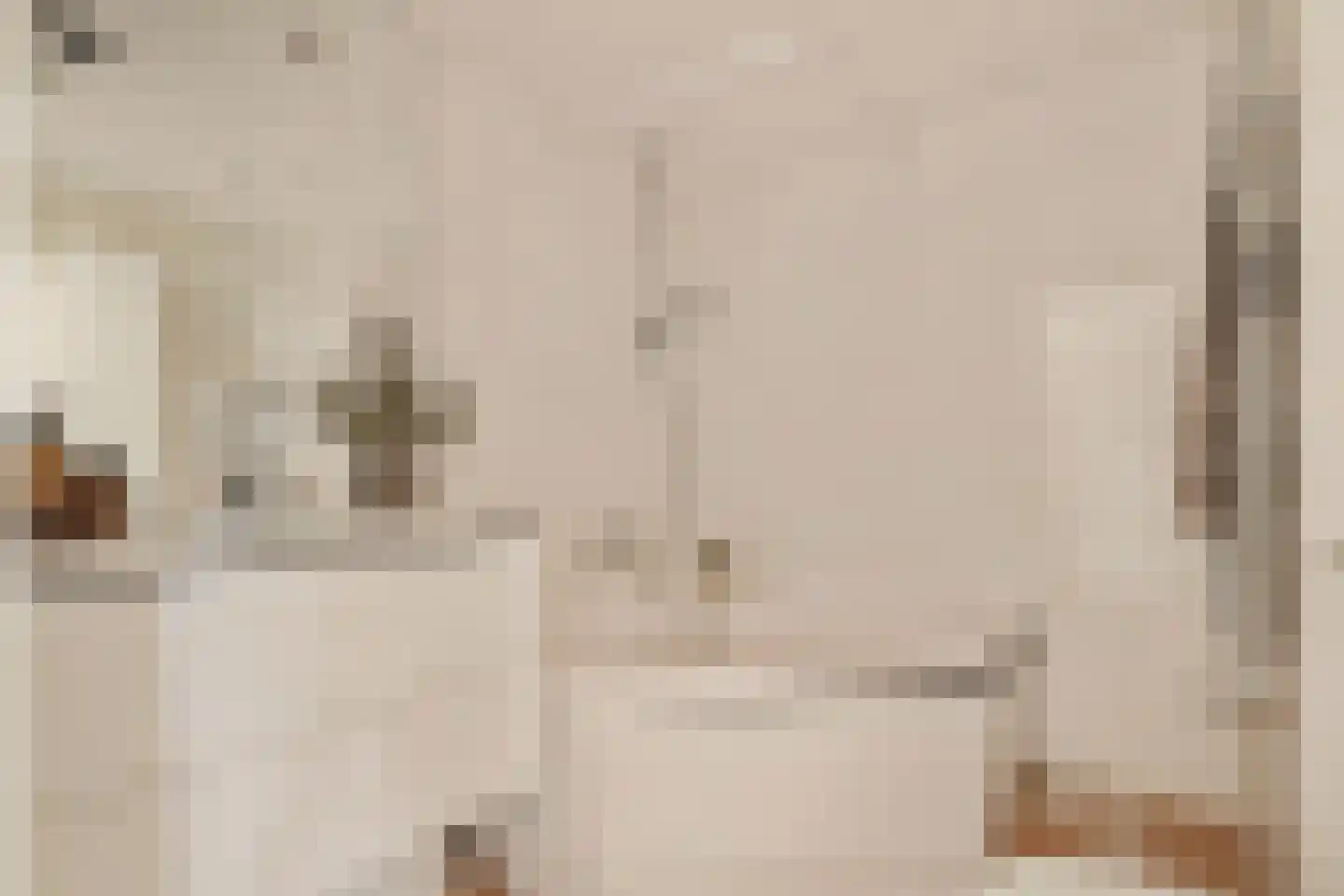 Knoopkruid 1 Diemen thumbnail 32