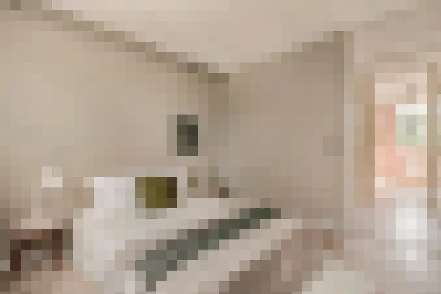 Knoopkruid 1 Diemen thumbnail 36