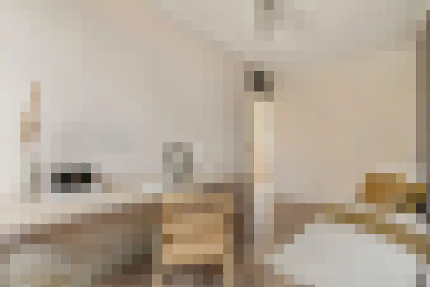Knoopkruid 1 Diemen thumbnail 38