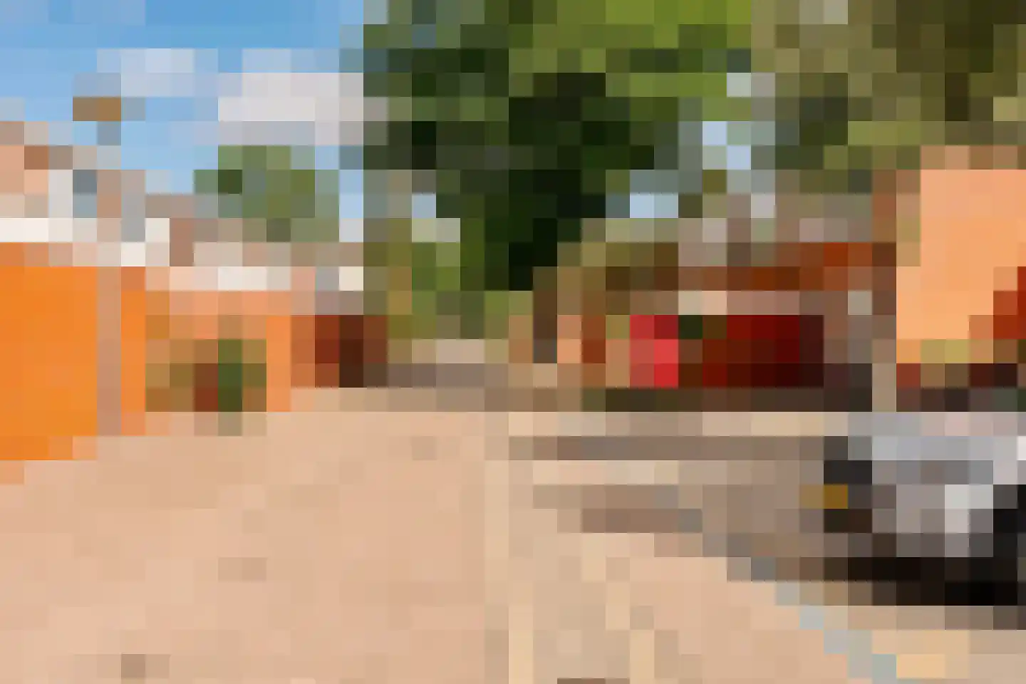 Knoopkruid 1 Diemen thumbnail 39