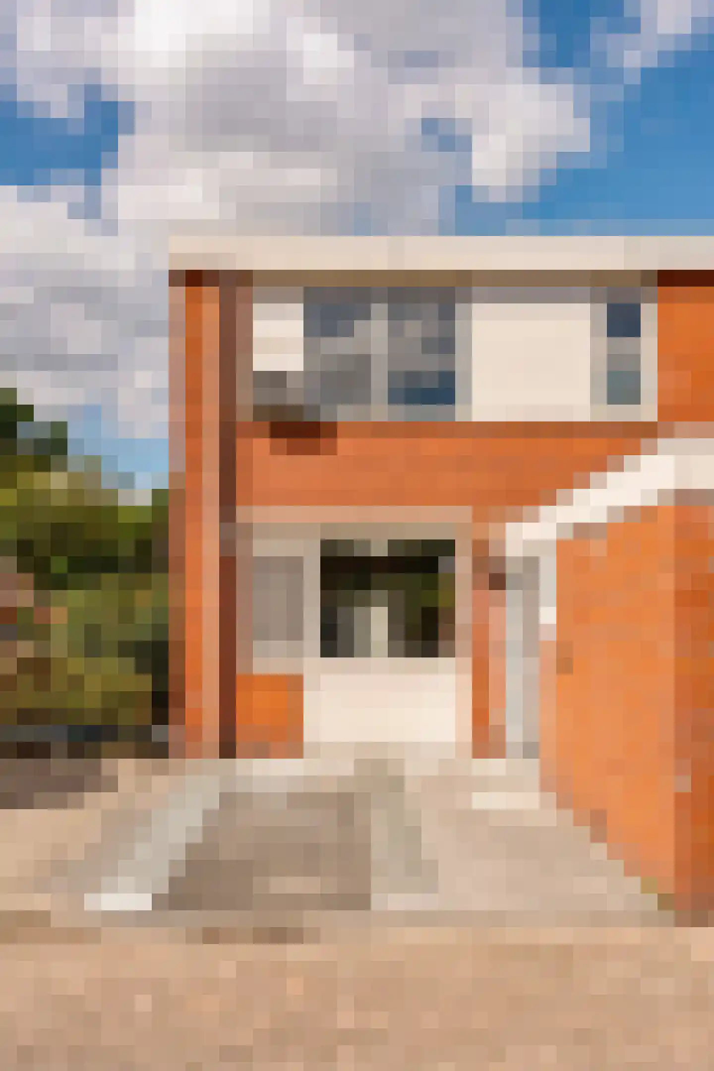 Knoopkruid 1 Diemen thumbnail 4