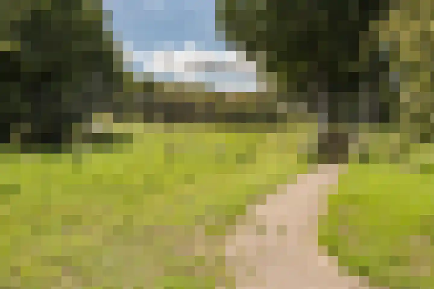 Knoopkruid 1 Diemen thumbnail 45