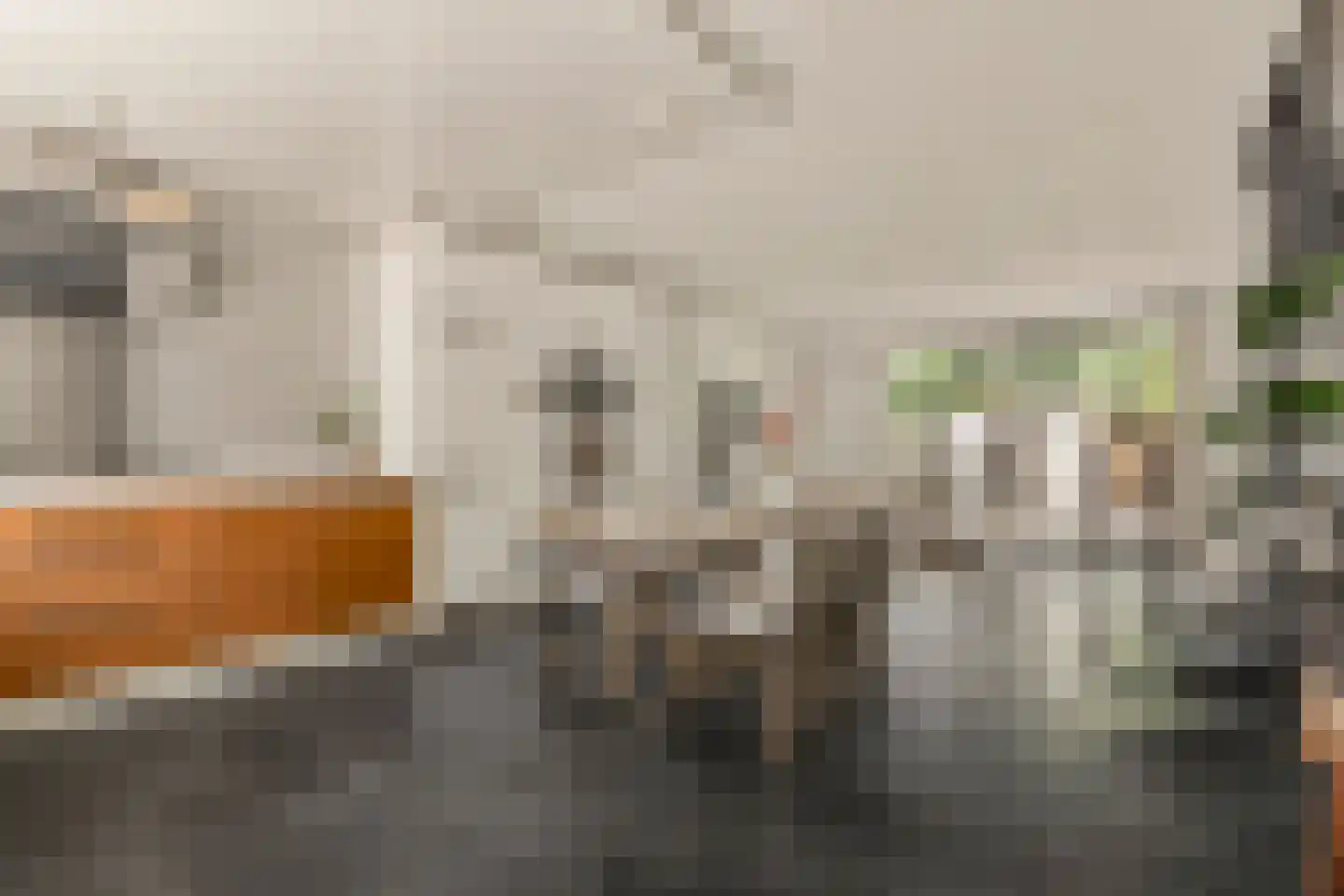 Knoopkruid 1 Diemen thumbnail 5
