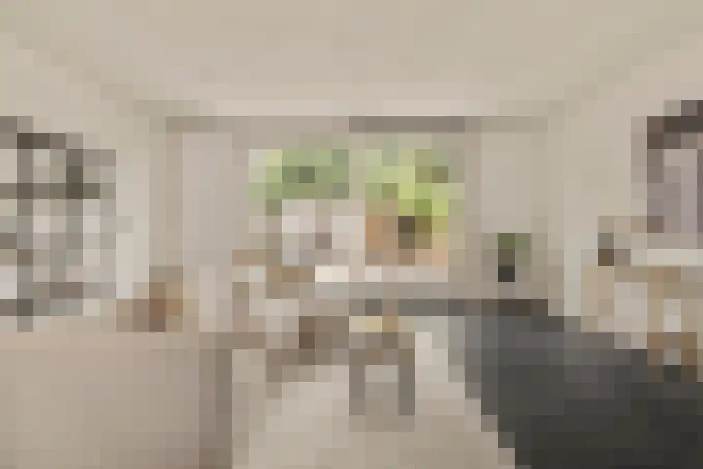 Knoopkruid 1 Diemen thumbnail 6