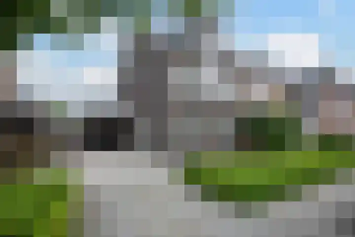 Knoopkruid 11 Voorthuizen