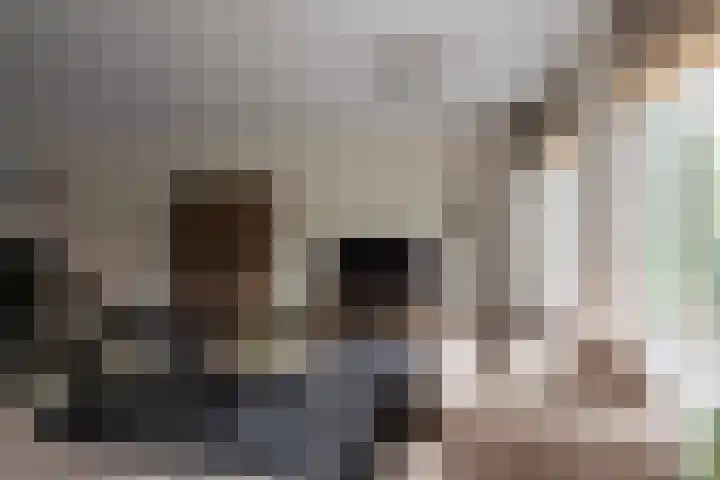 Knoopkruid 11 Voorthuizen thumbnail 10