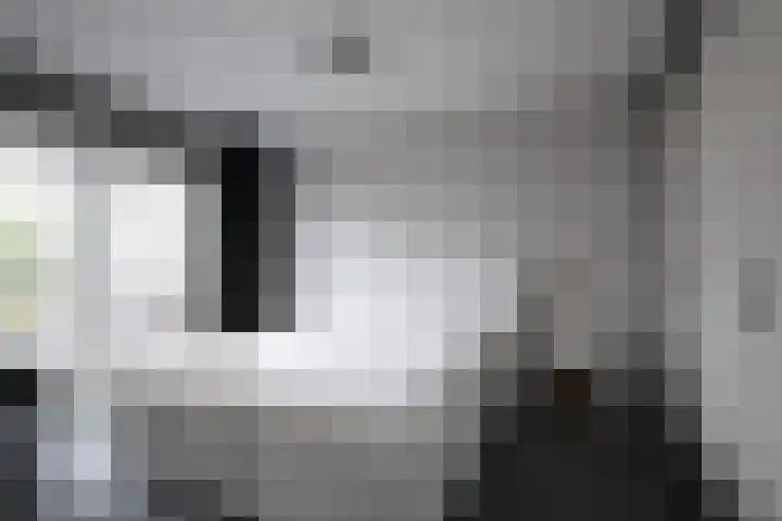 Knoopkruid 11 Voorthuizen thumbnail 15