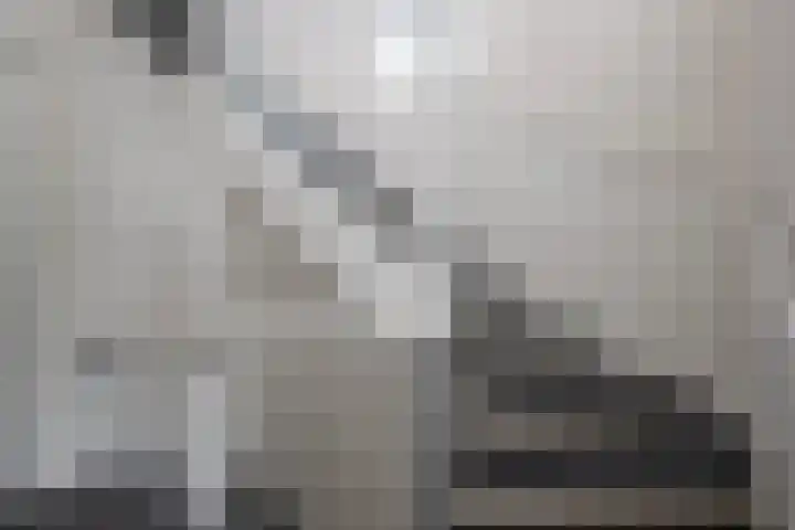 Knoopkruid 11 Voorthuizen thumbnail 24