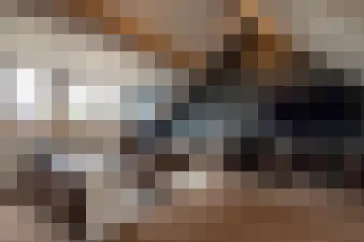 Knoopkruid 11 Voorthuizen thumbnail 26