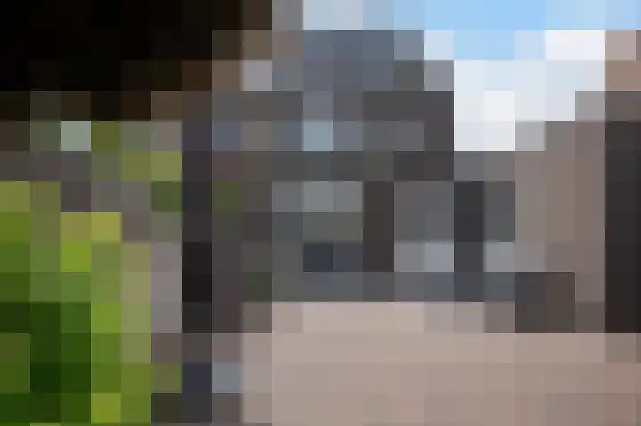 Knoopkruid 11 Voorthuizen thumbnail 29