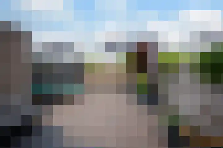 Knoopkruid 11 Voorthuizen thumbnail 30