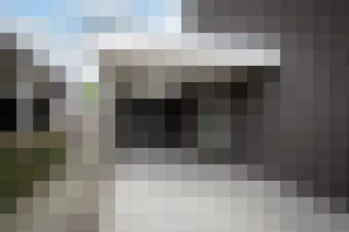 Knoopkruid 11 Voorthuizen thumbnail 31
