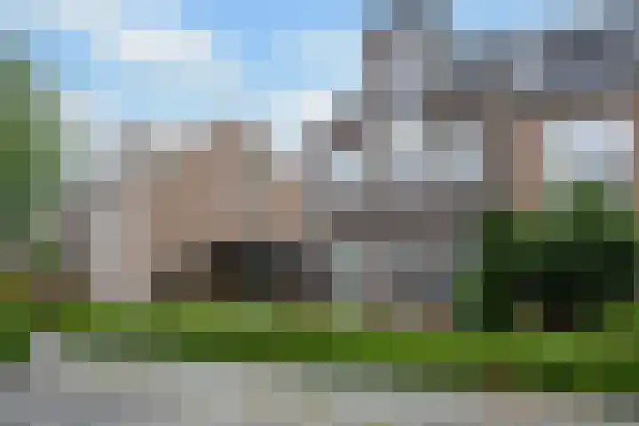 Knoopkruid 11 Voorthuizen thumbnail 32