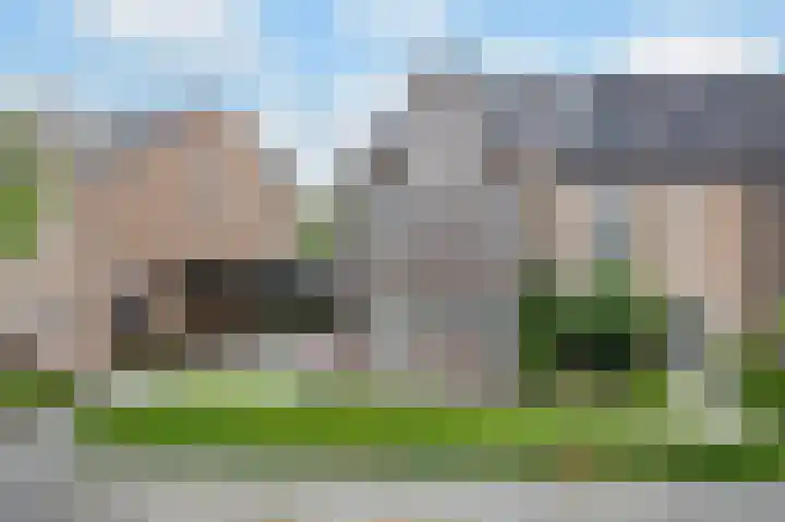 Knoopkruid 11 Voorthuizen thumbnail 33