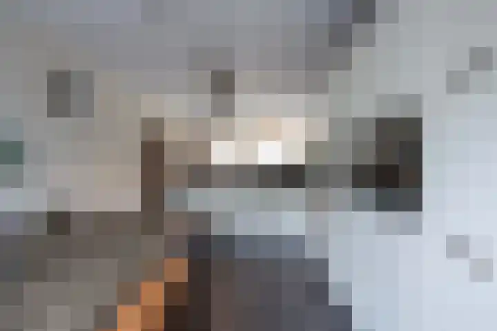 Knoopkruid 11 Voorthuizen thumbnail 4