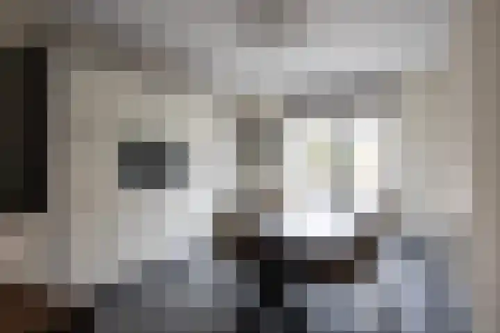 Knoopkruid 11 Voorthuizen thumbnail 5
