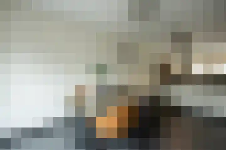 Knoopkruid 11 Voorthuizen thumbnail 6