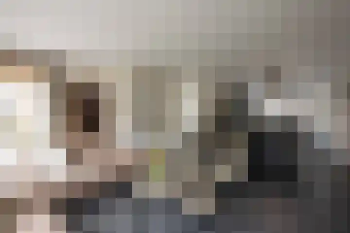 Knoopkruid 11 Voorthuizen thumbnail 8