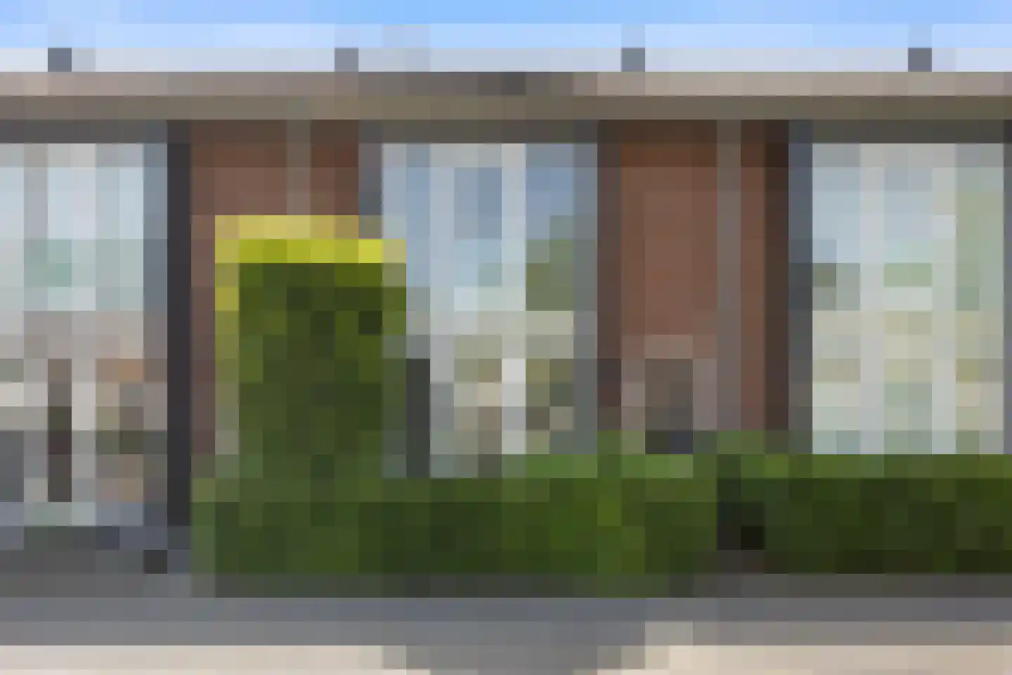 Knoopkruid 18 Voorthuizen