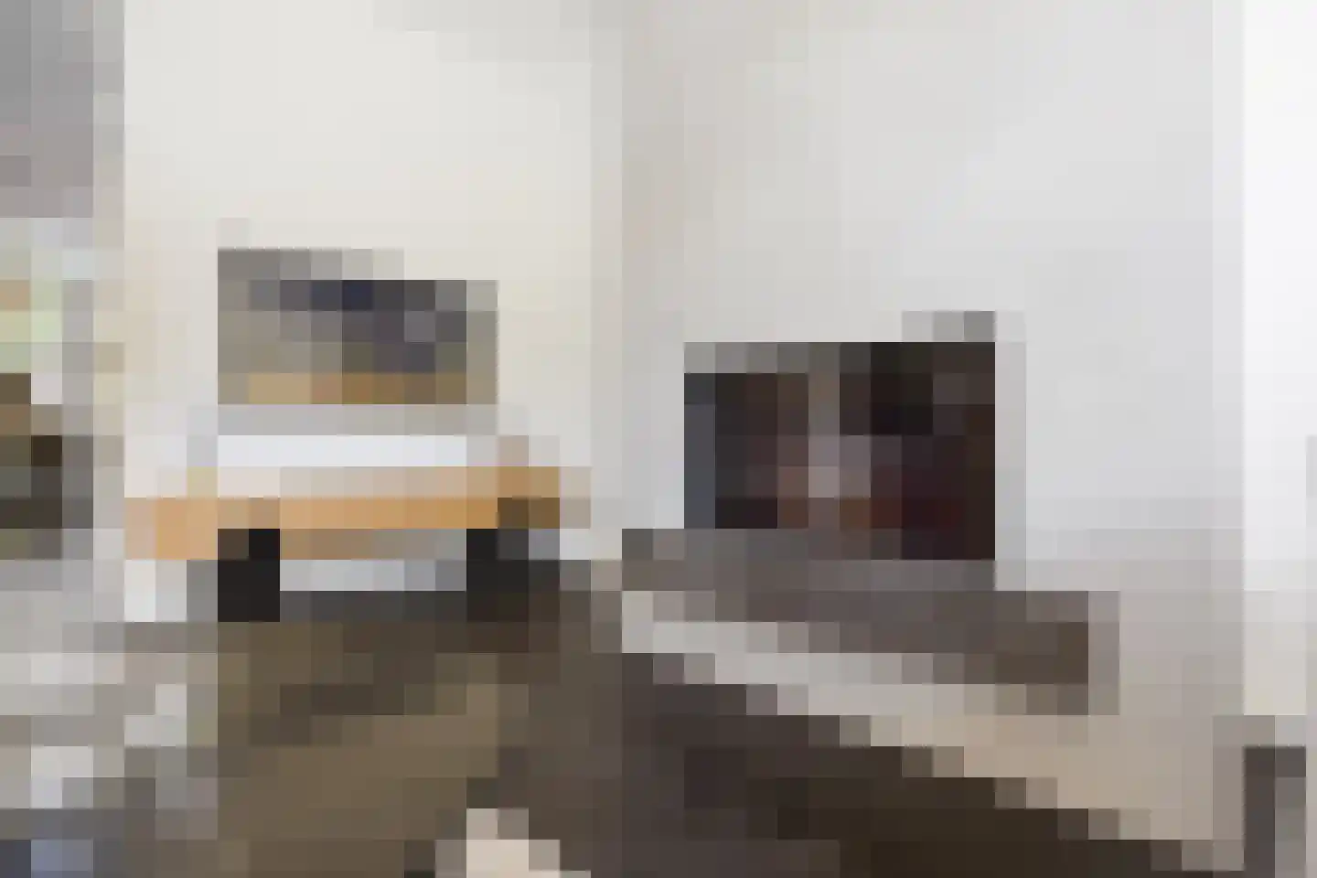 Knoopkruid 18 Voorthuizen thumbnail 11