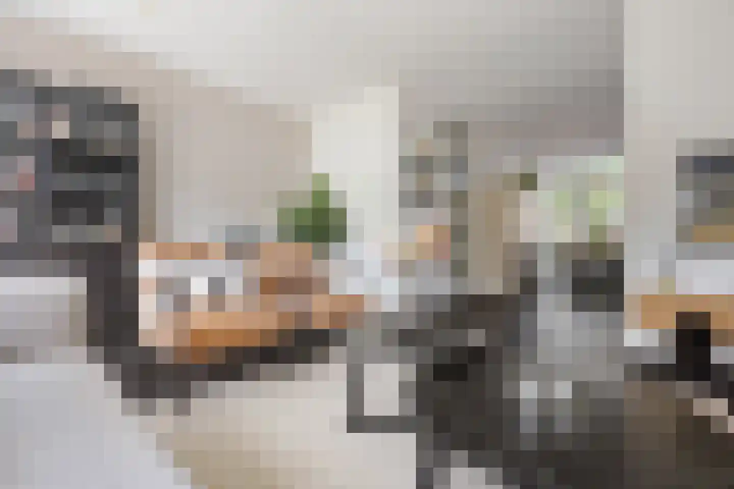 Knoopkruid 18 Voorthuizen thumbnail 12