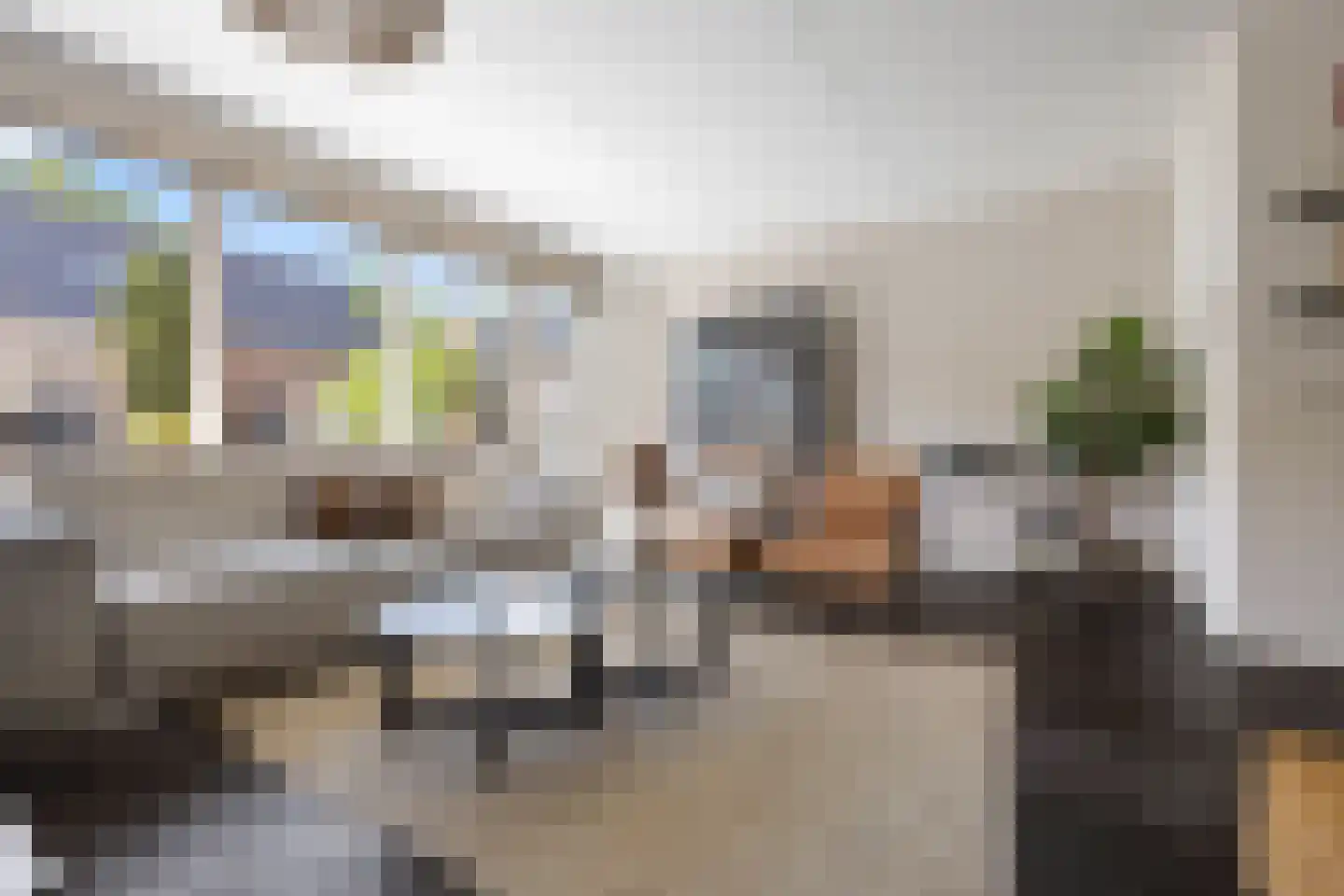 Knoopkruid 18 Voorthuizen thumbnail 13