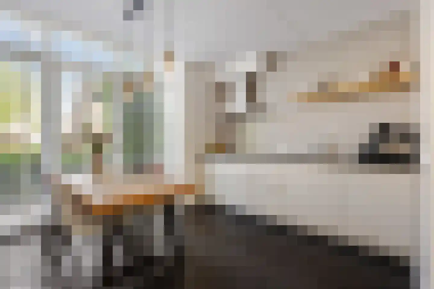 Knoopkruid 18 Voorthuizen thumbnail 15