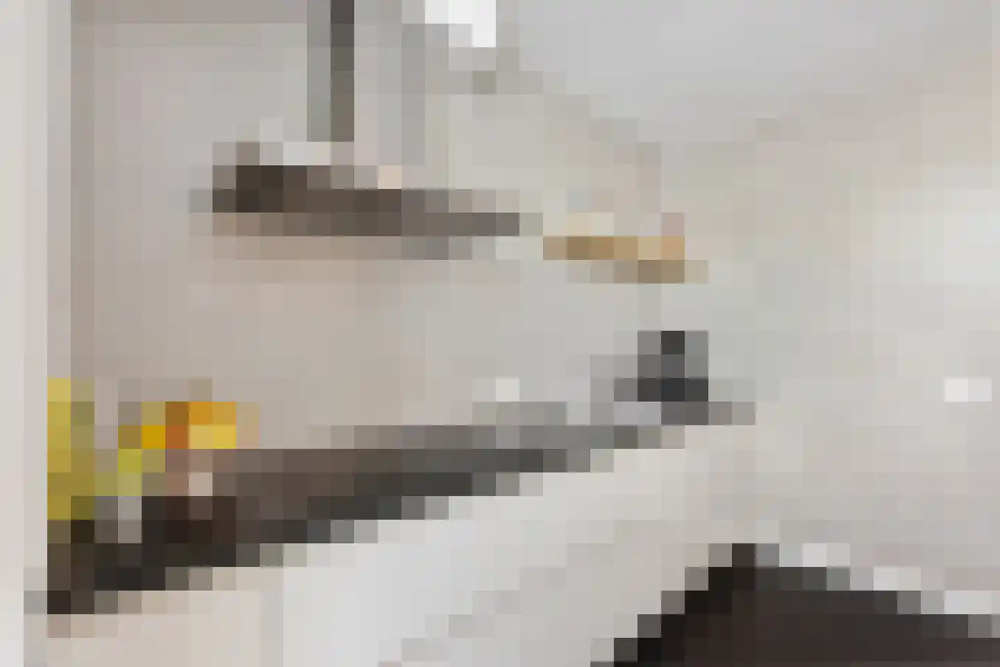 Knoopkruid 18 Voorthuizen thumbnail 16
