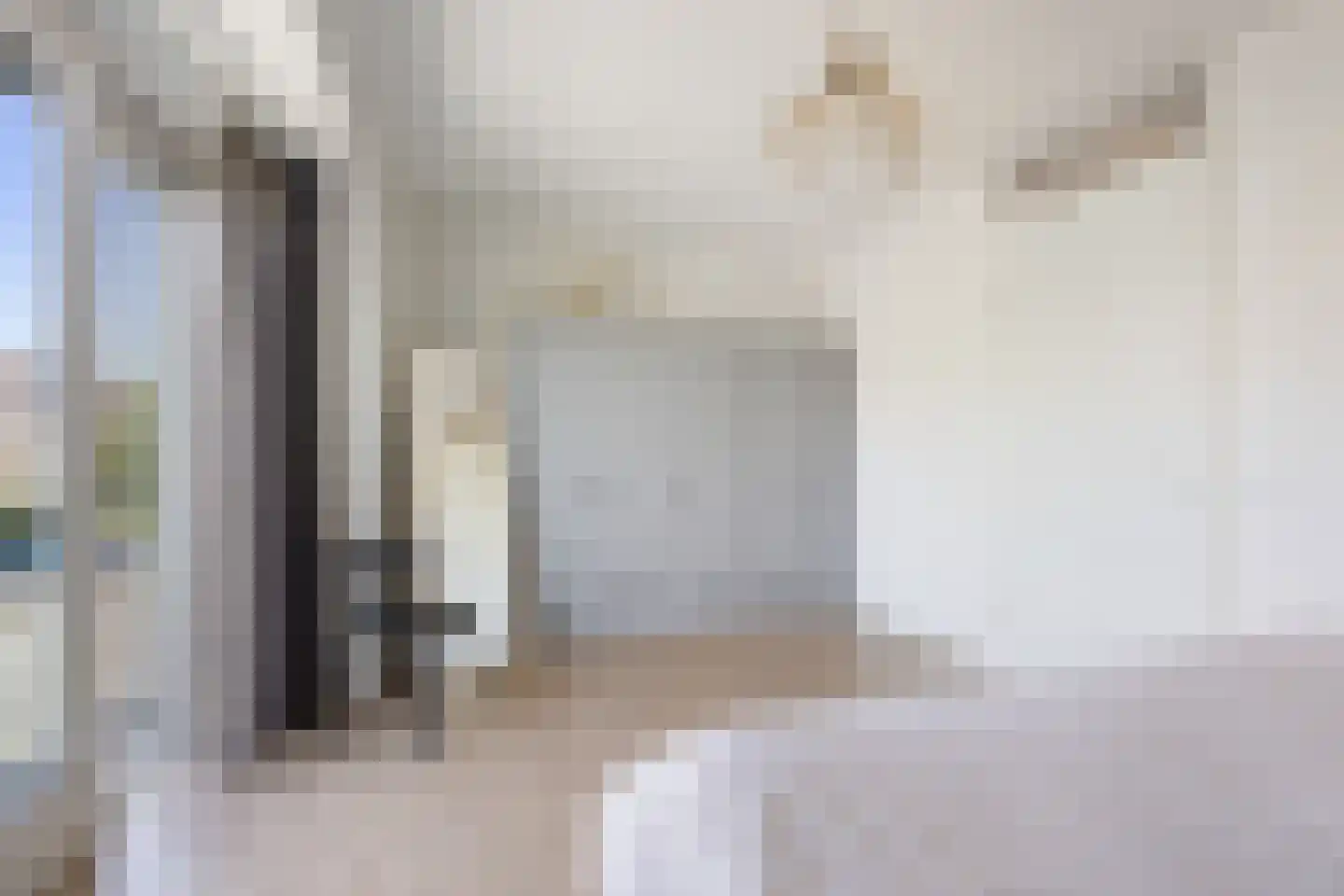 Knoopkruid 18 Voorthuizen thumbnail 23
