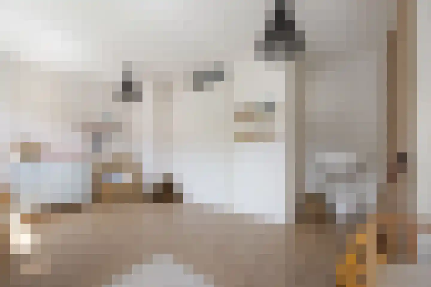 Knoopkruid 18 Voorthuizen thumbnail 24