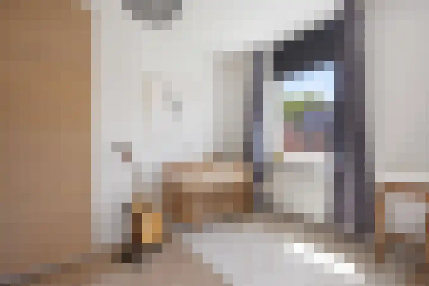 Knoopkruid 18 Voorthuizen thumbnail 26