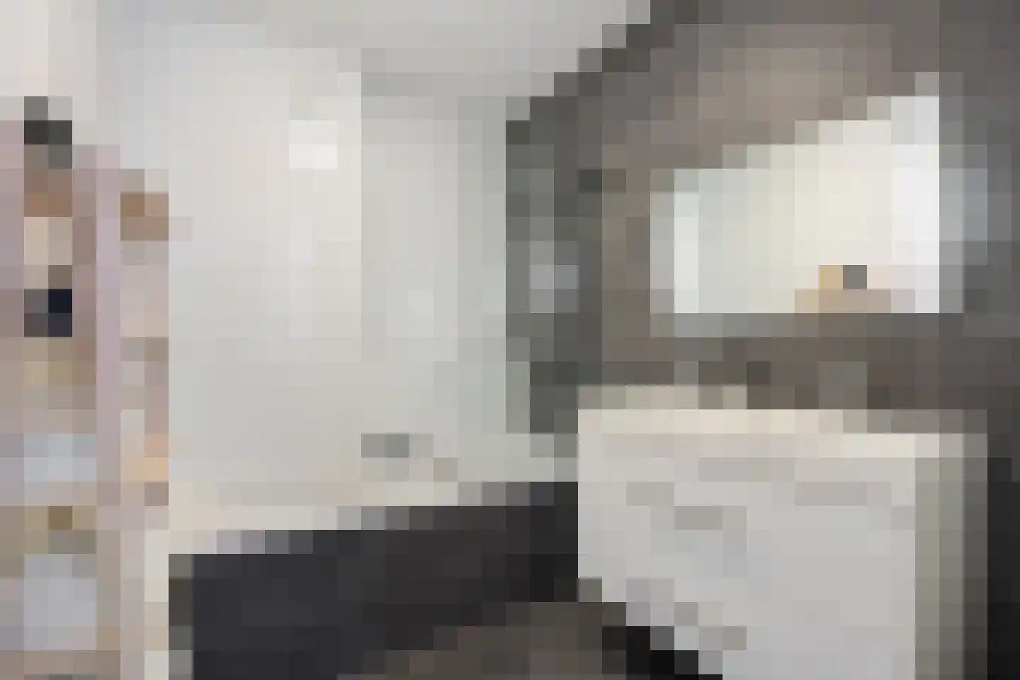 Knoopkruid 18 Voorthuizen thumbnail 27