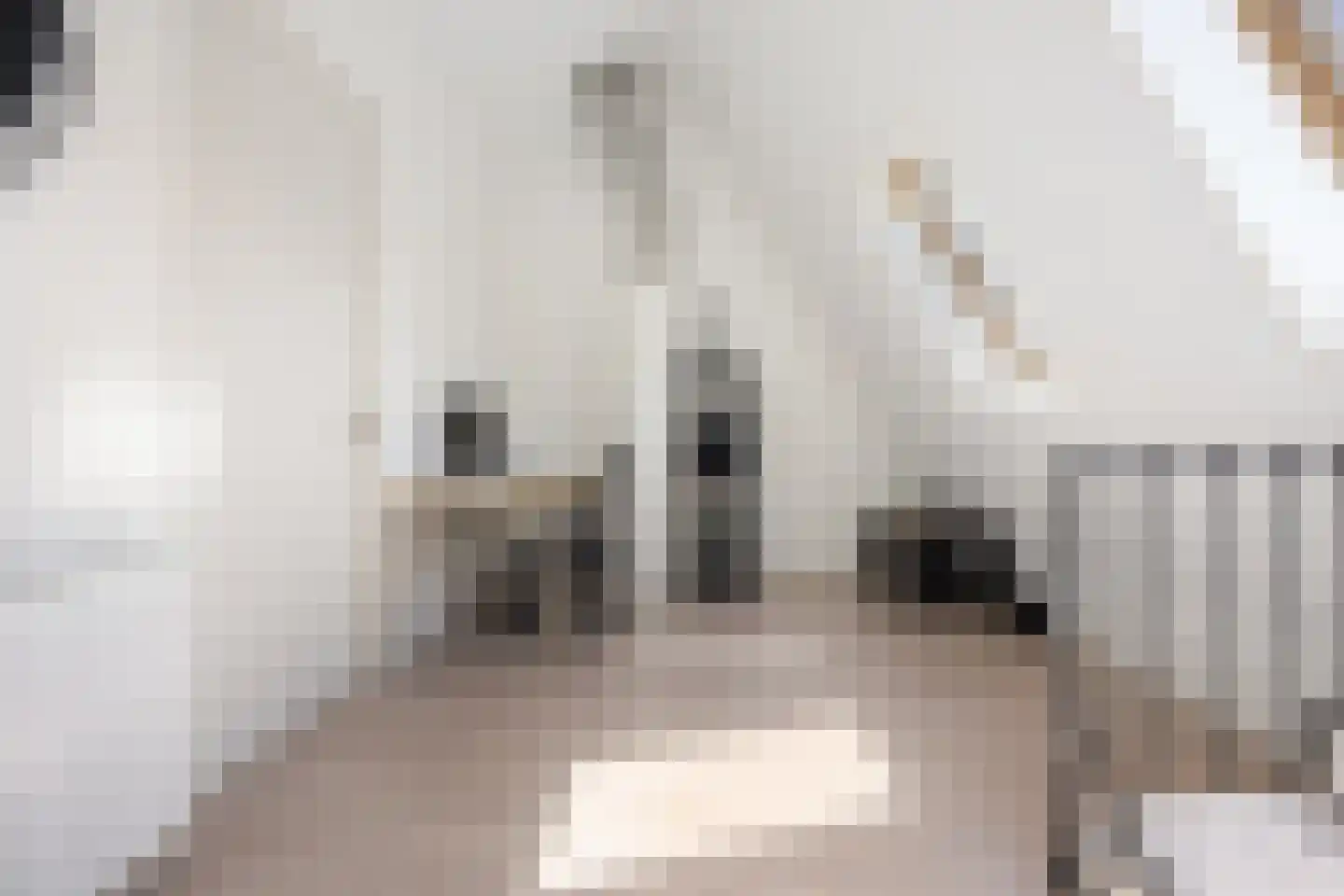 Knoopkruid 18 Voorthuizen thumbnail 32