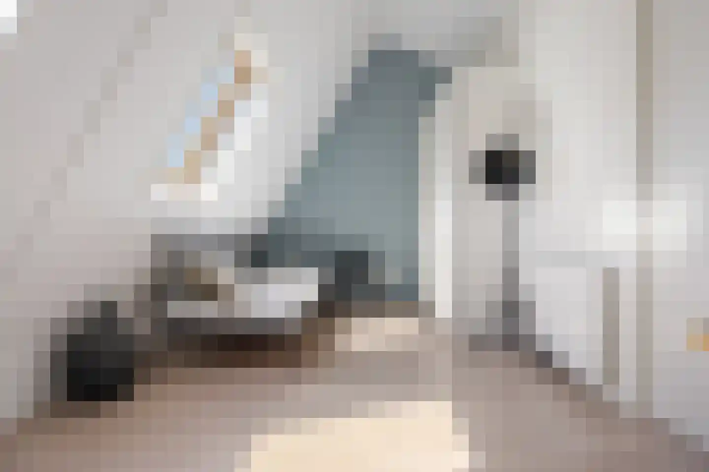 Knoopkruid 18 Voorthuizen thumbnail 33