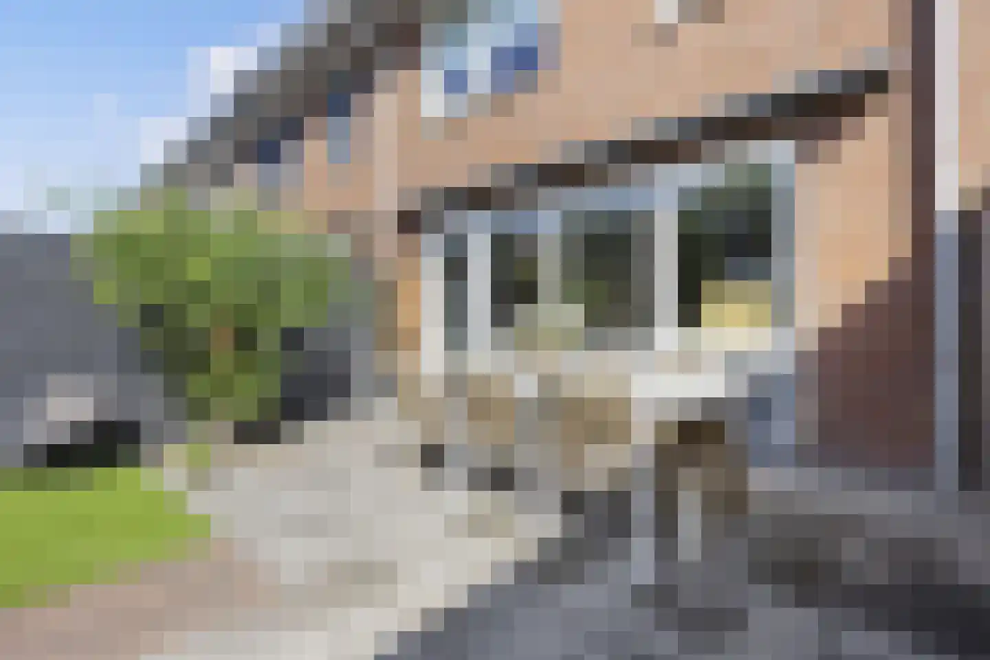 Knoopkruid 18 Voorthuizen thumbnail 35
