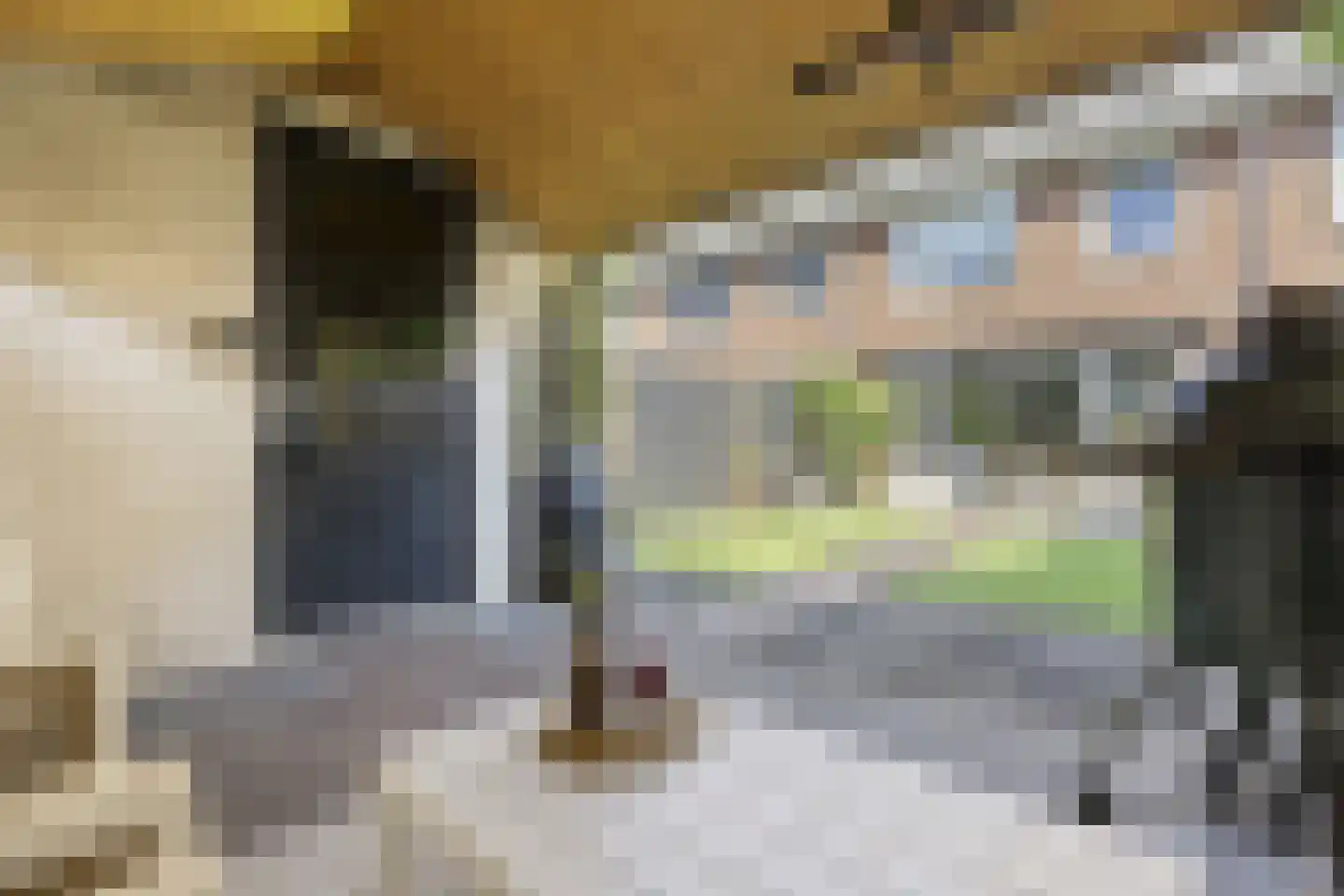 Knoopkruid 18 Voorthuizen thumbnail 37