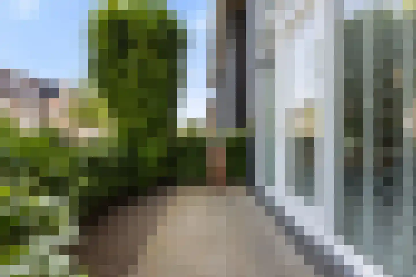 Knoopkruid 18 Voorthuizen thumbnail 39