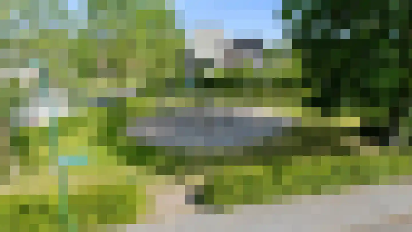 Knoopkruid 18 Voorthuizen thumbnail 4