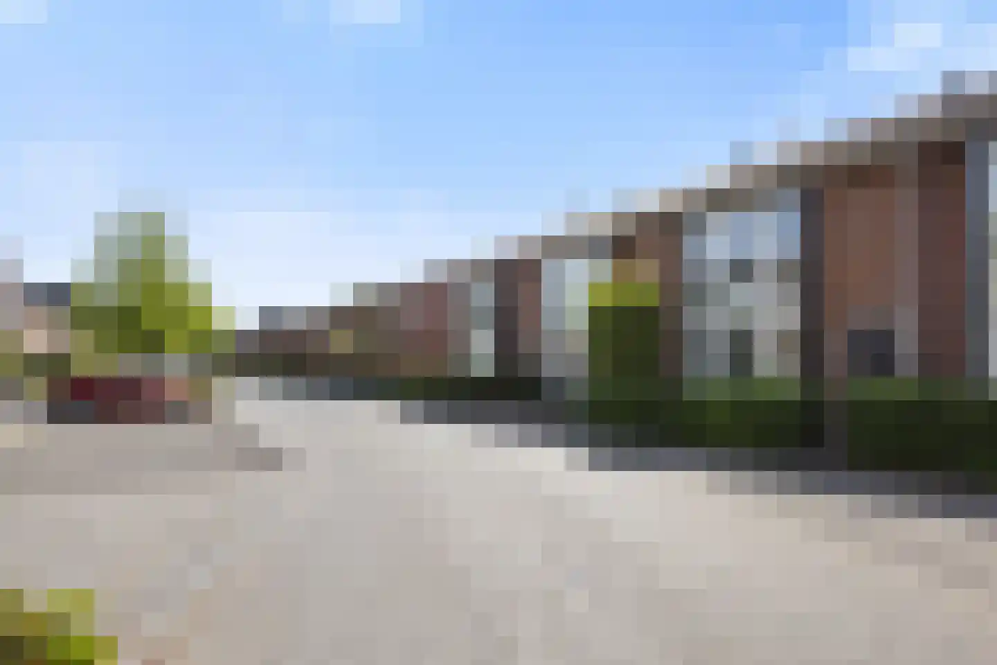 Knoopkruid 18 Voorthuizen thumbnail 40